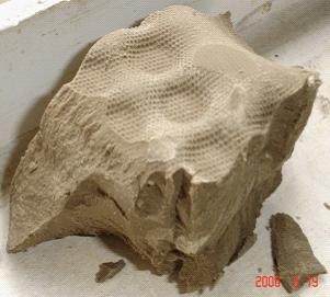 20130323101446_3125.jpg 20130323101446_3125.jpg